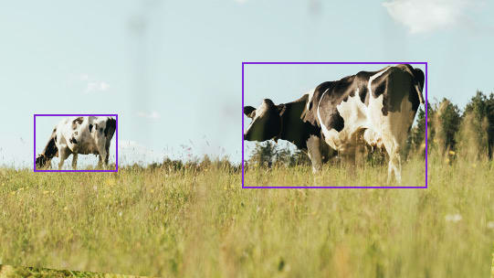 BOUNDING BOXES FOR OBJECT DETECTION